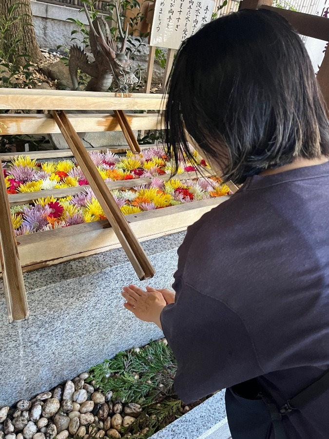 9/1〜9/10 東京大神宮の花手水