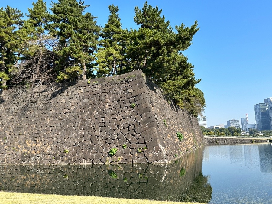 孕んだ石垣