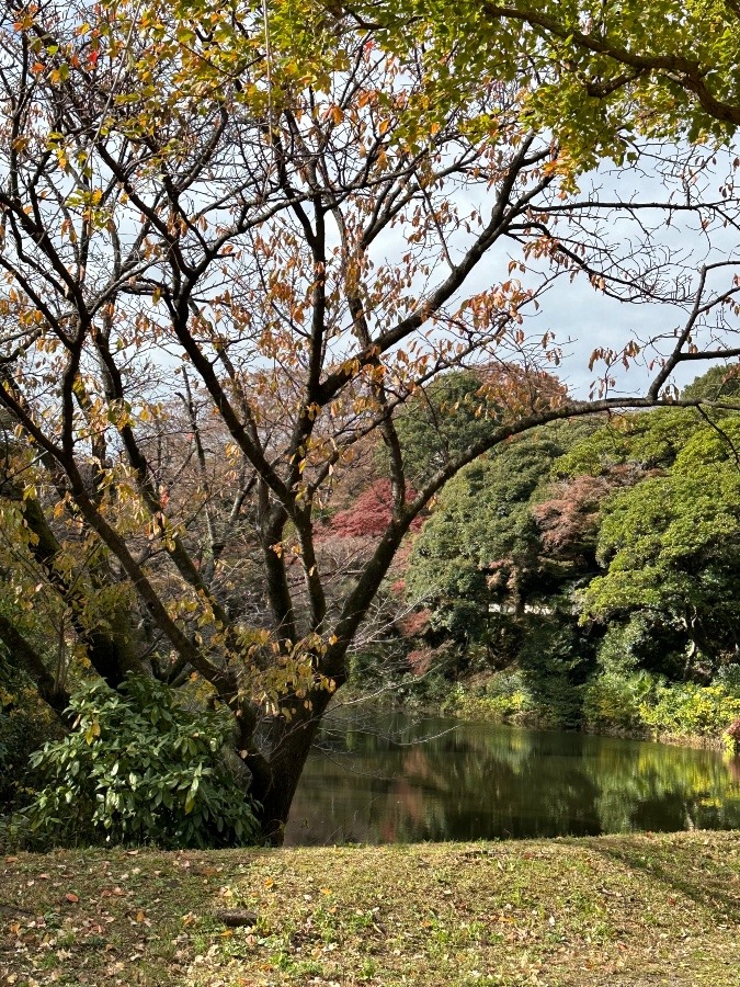 皇居乾通り一般公開